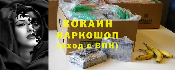молекула духа Богородицк