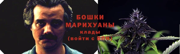 PSILOCYBIN Аркадак
