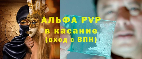 PSILOCYBIN Аркадак
