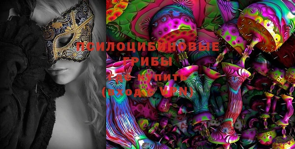 PSILOCYBIN Аркадак