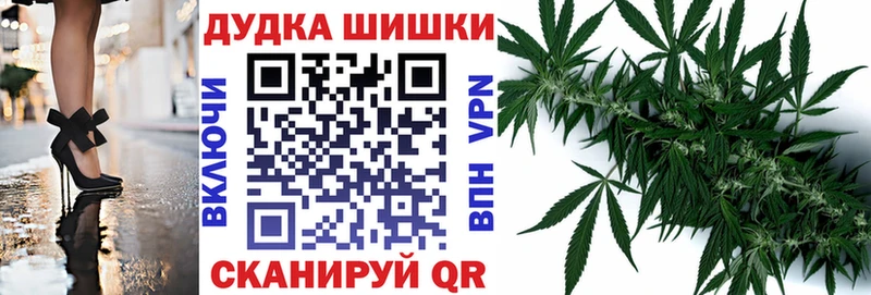 где купить наркоту  Кологрив  Шишки марихуана VHQ 